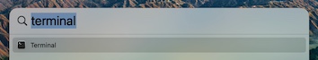 open the terminal